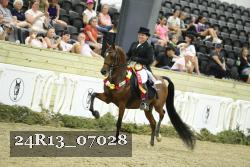 24R13_07028 thumbnail