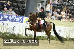 24R13_07029 thumbnail