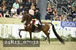 24R13_07032 thumbnail