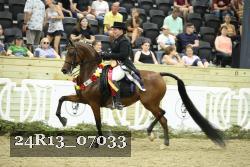 24R13_07033 thumbnail