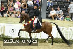 24R13_07034 thumbnail