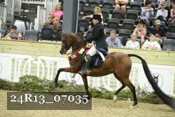 24R13_07035 thumbnail