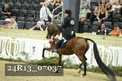 24R13_07037 thumbnail
