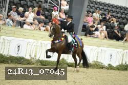 24R13_07045 thumbnail