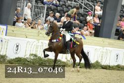 24R13_07046 thumbnail