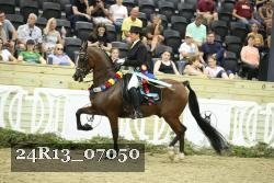 24R13_07050 thumbnail