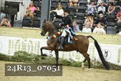 24R13_07051 thumbnail