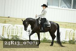 24R13_07071 thumbnail