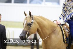 24R13_07134 thumbnail