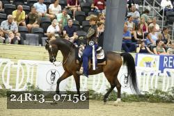 24R13_07156 thumbnail