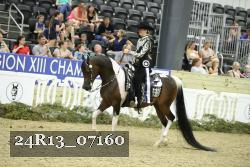 24R13_07160 thumbnail