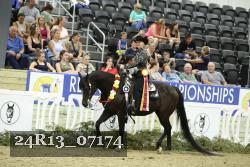 24R13_07174 thumbnail