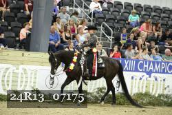 24R13_07175 thumbnail