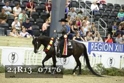 24R13_07176 thumbnail