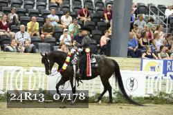 24R13_07178 thumbnail