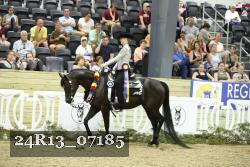 24R13_07185 thumbnail