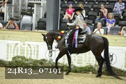 24R13_07191 thumbnail