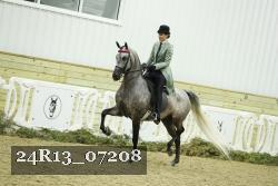 24R13_07208 thumbnail