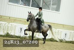24R13_07209 thumbnail