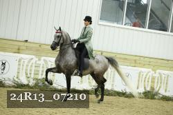 24R13_07210 thumbnail