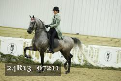 24R13_07211 thumbnail