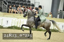 24R13_07214 thumbnail