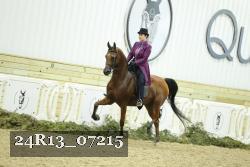 24R13_07215 thumbnail