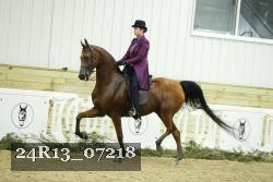 24R13_07218 thumbnail