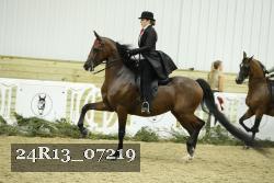 24R13_07219 thumbnail