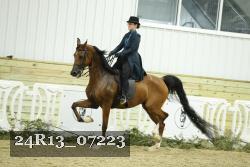 24R13_07223 thumbnail