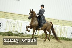 24R13_07226 thumbnail