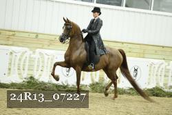 24R13_07227 thumbnail