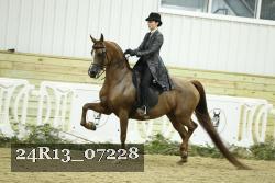 24R13_07228 thumbnail