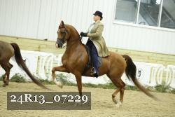 24R13_07229 thumbnail