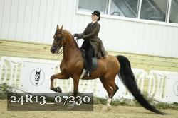24R13_07230 thumbnail