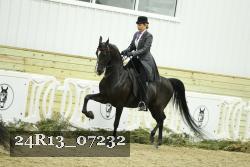 24R13_07232 thumbnail