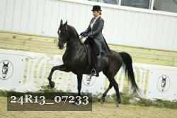 24R13_07233 thumbnail