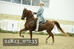 24R13_07235 thumbnail