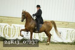 24R13_07237 thumbnail