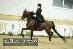 24R13_07238 thumbnail