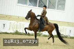 24R13_07239 thumbnail