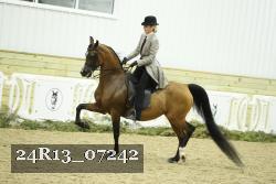 24R13_07242 thumbnail