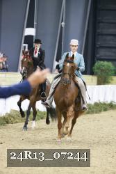 24R13_07244 thumbnail