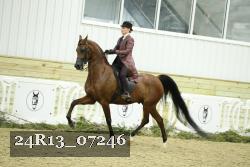 24R13_07246 thumbnail