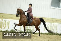 24R13_07247 thumbnail