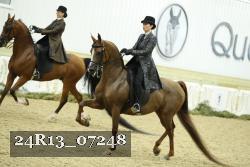 24R13_07248 thumbnail