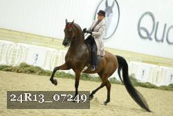 24R13_07249 thumbnail