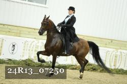 24R13_07250 thumbnail