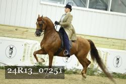 24R13_07251 thumbnail