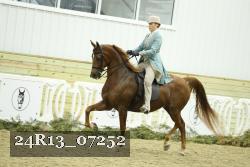 24R13_07252 thumbnail